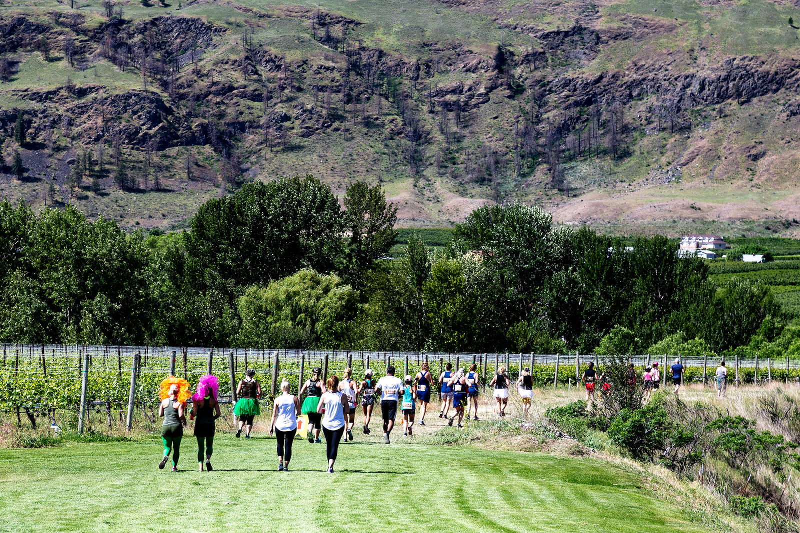 oowa uncorked marathon