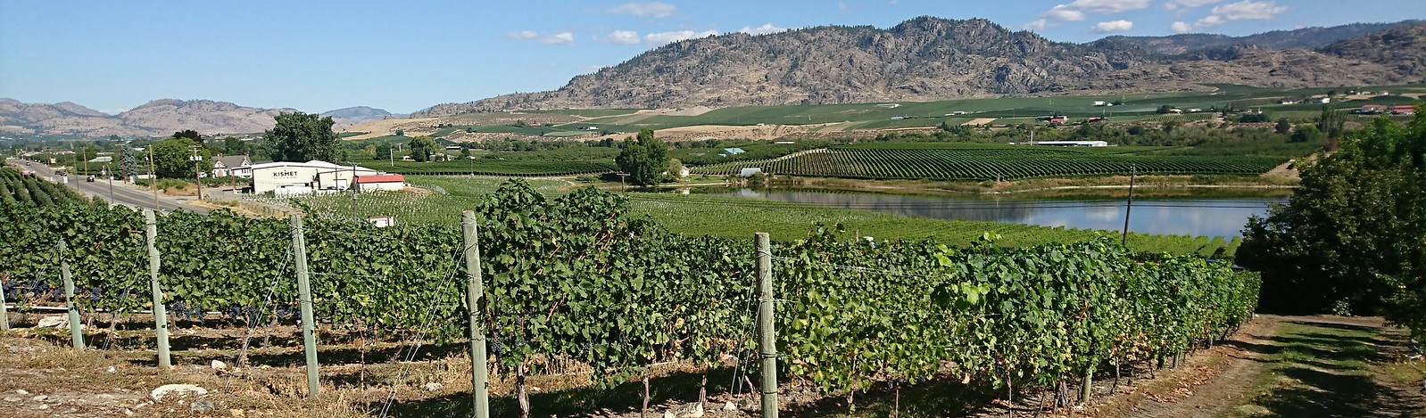 oowa winery