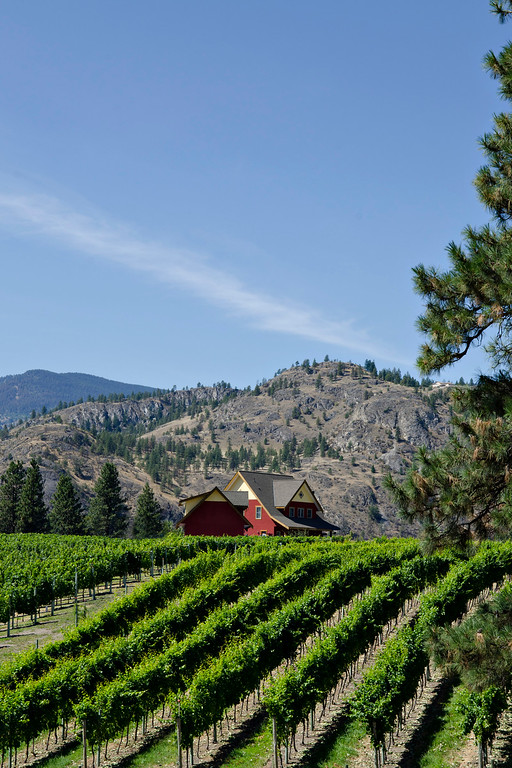 oowa vineyard mountains