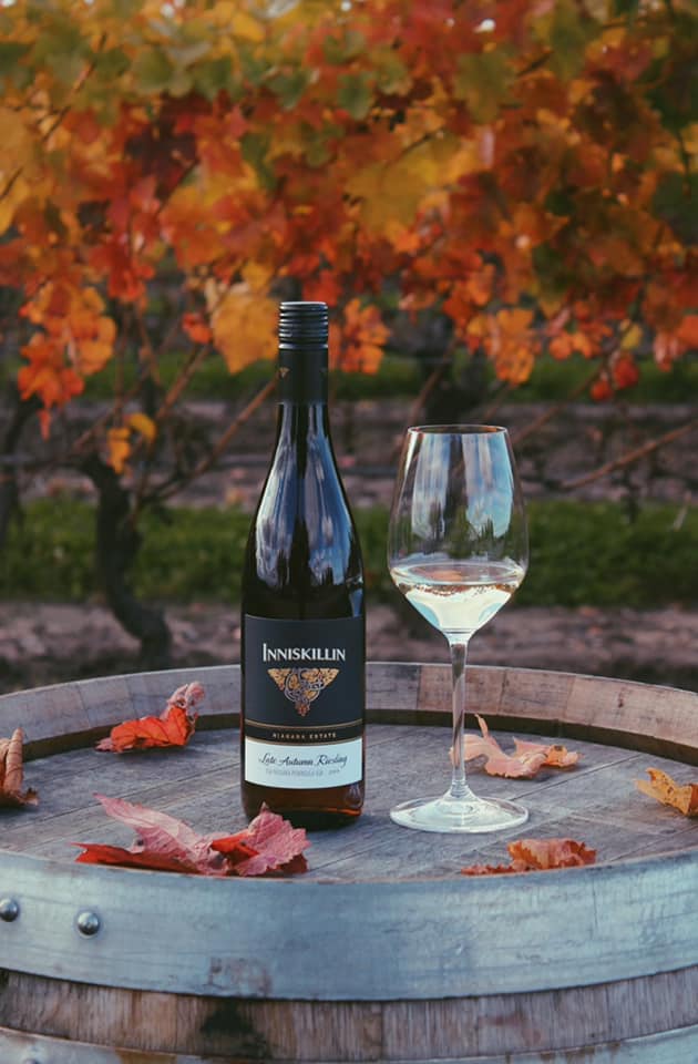 Inniskillin wine and fall vienyard