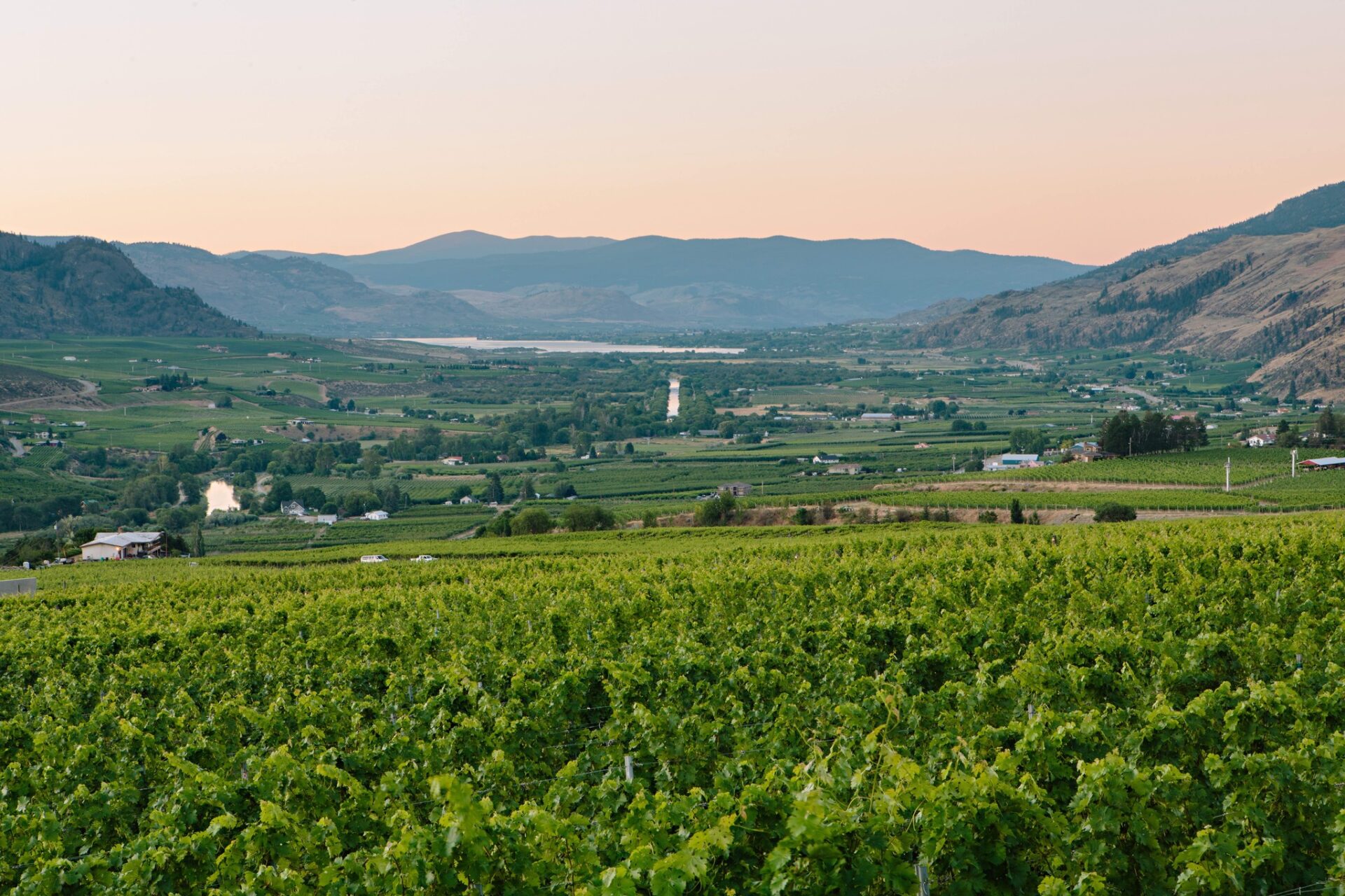 Culmina Family Estate Winery vineyard views