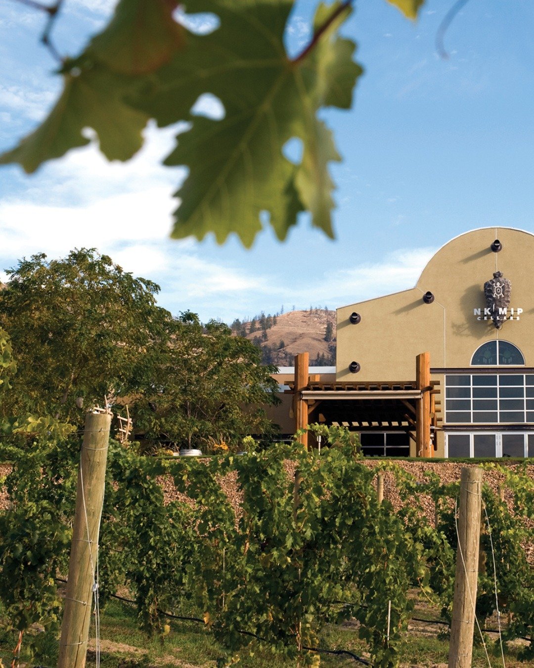 Nk'Mip Cellars exterior view with vineyard
