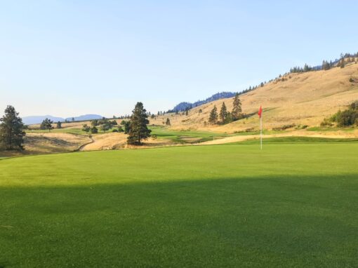 Fairview Mountain golf course perfect green grass and blue skies