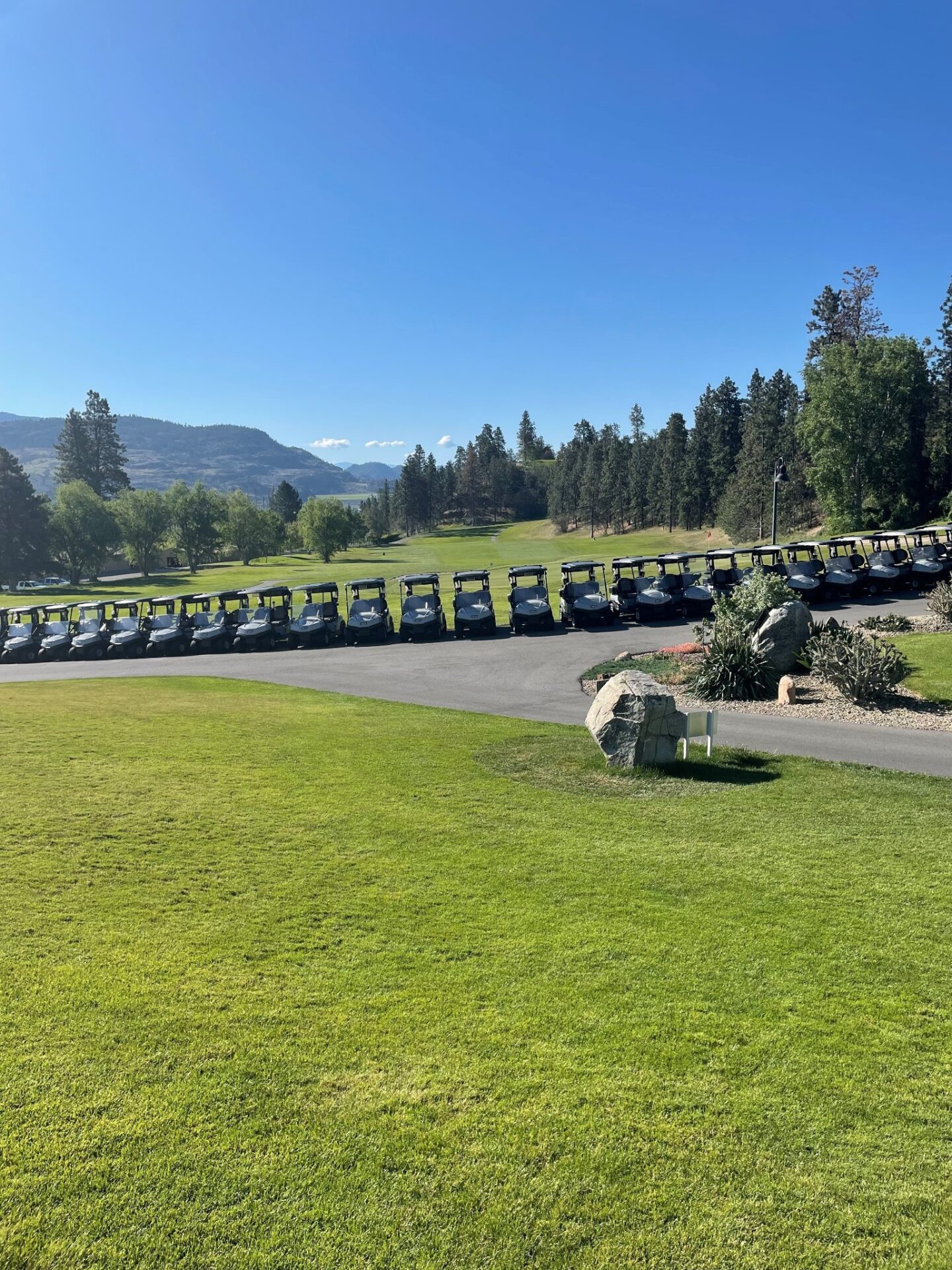 Fairview Mountain golf course lineup of carts ready for a tournament