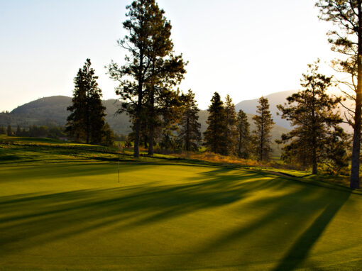 Fairview Mountain golf course green with morning light shadow