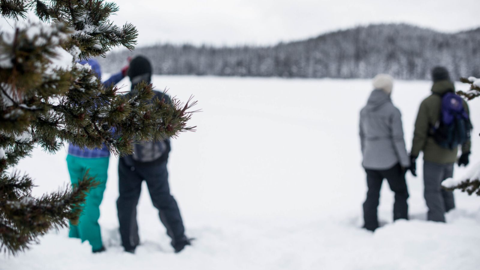 Penticton Valentine’s Day Experience Guide 2024 Visit Penticton