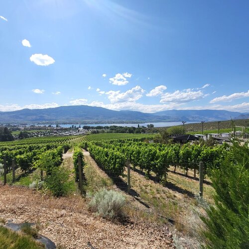 vineyard tour with unique blend south okanagan tours