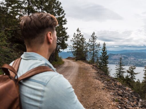 admiring views on the kvr trail above okanagan lake and naramata