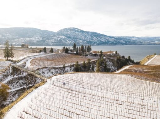 biking on the vkr trail in winter, beautiful okanagan lake views
