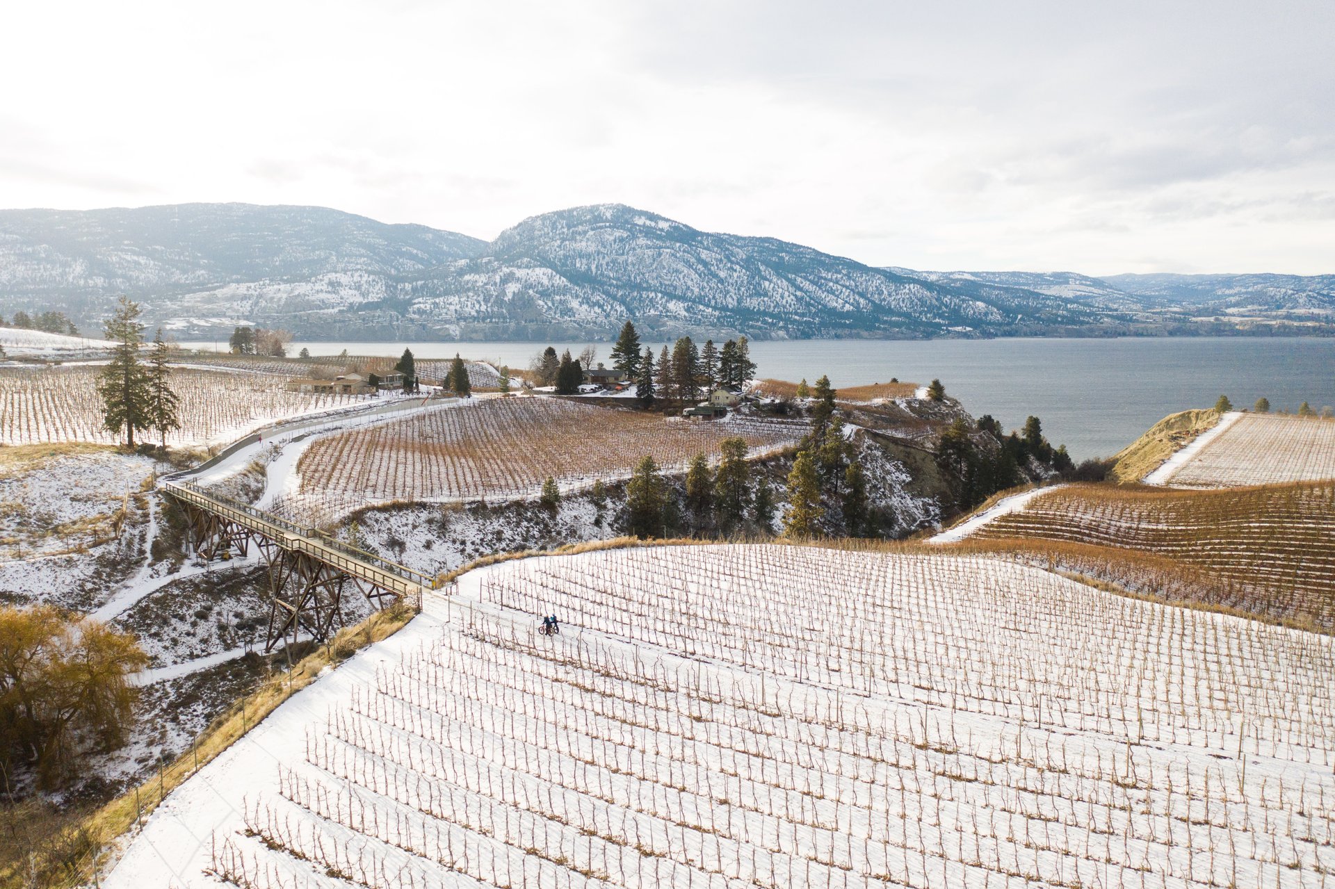 biking on the vkr trail in winter, beautiful okanagan lake views