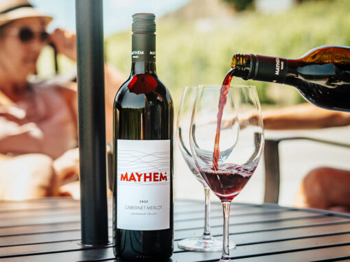 Guests enjoying Cabernet Merlot on Mayhem Wines patio