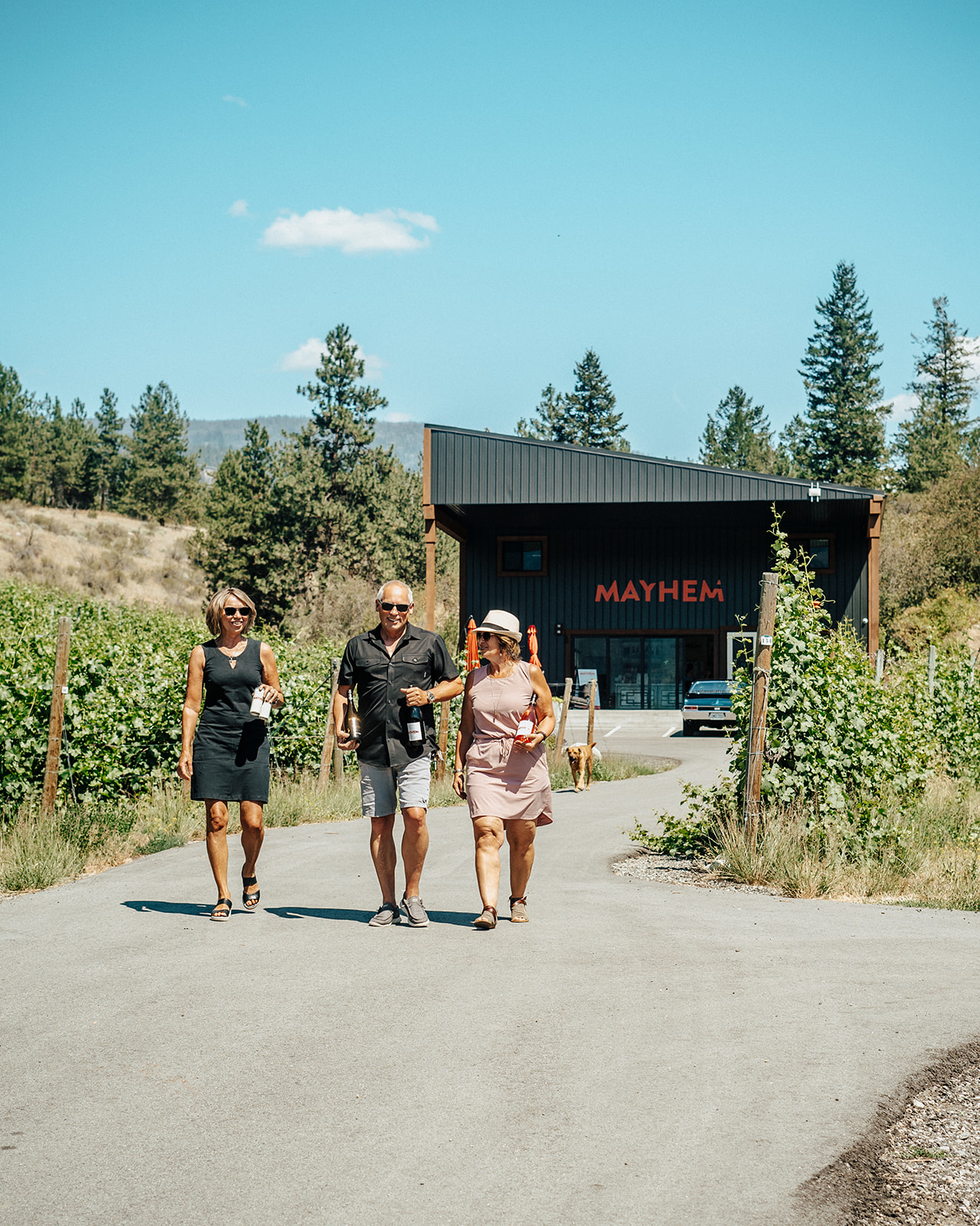 Guests walking from Mayhem Wines
