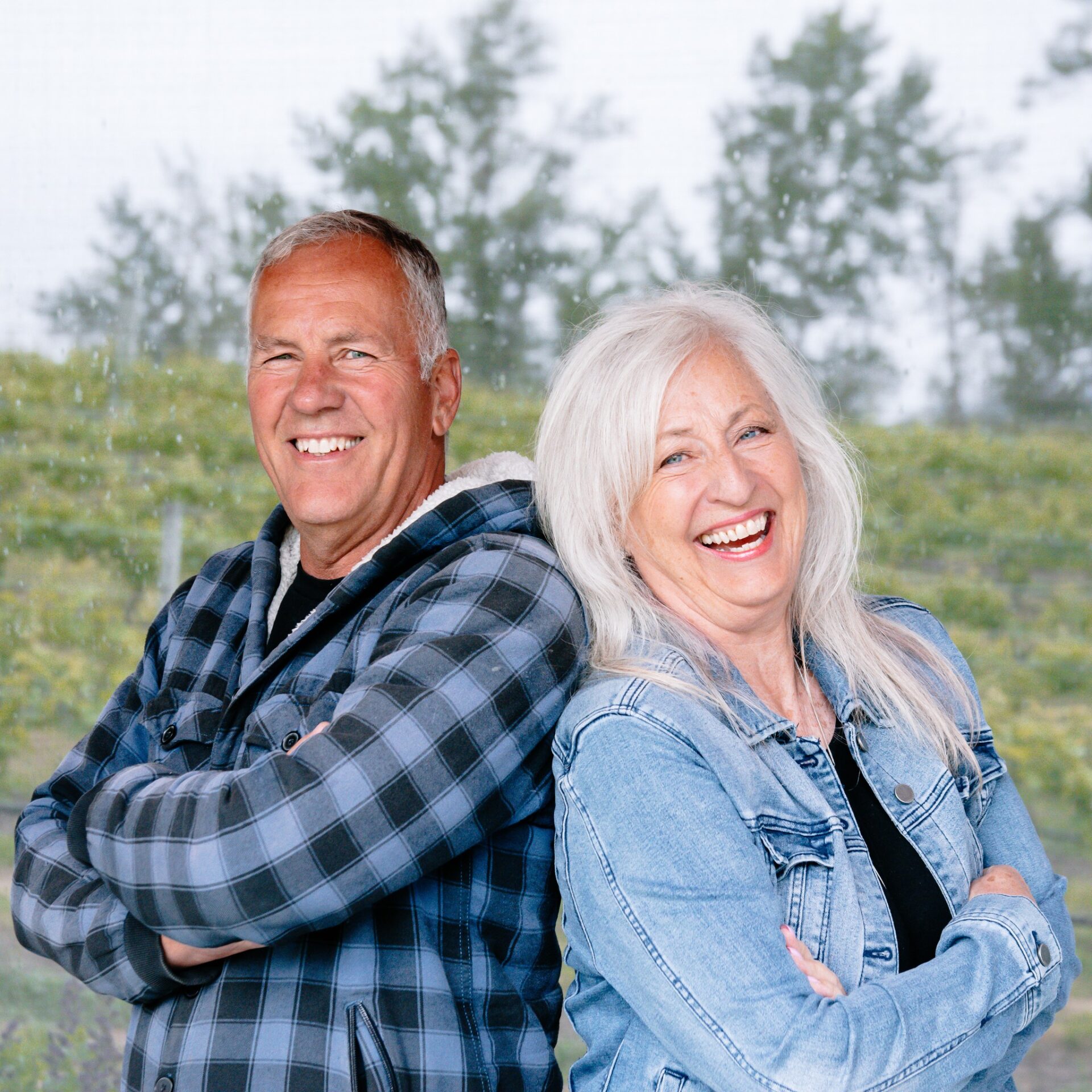 mayhem wines owners