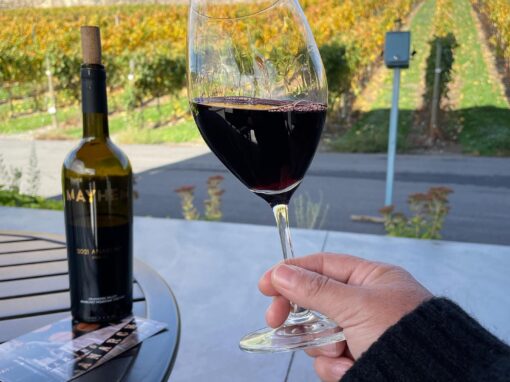 Mayhem Wines Cheers to Great Reds