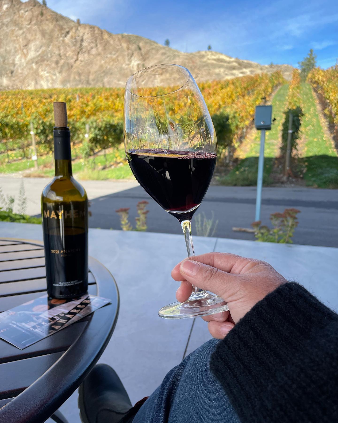 Mayhem Wines Cheers to Great Reds