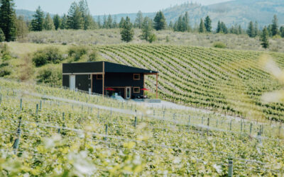 Mayhem Wines