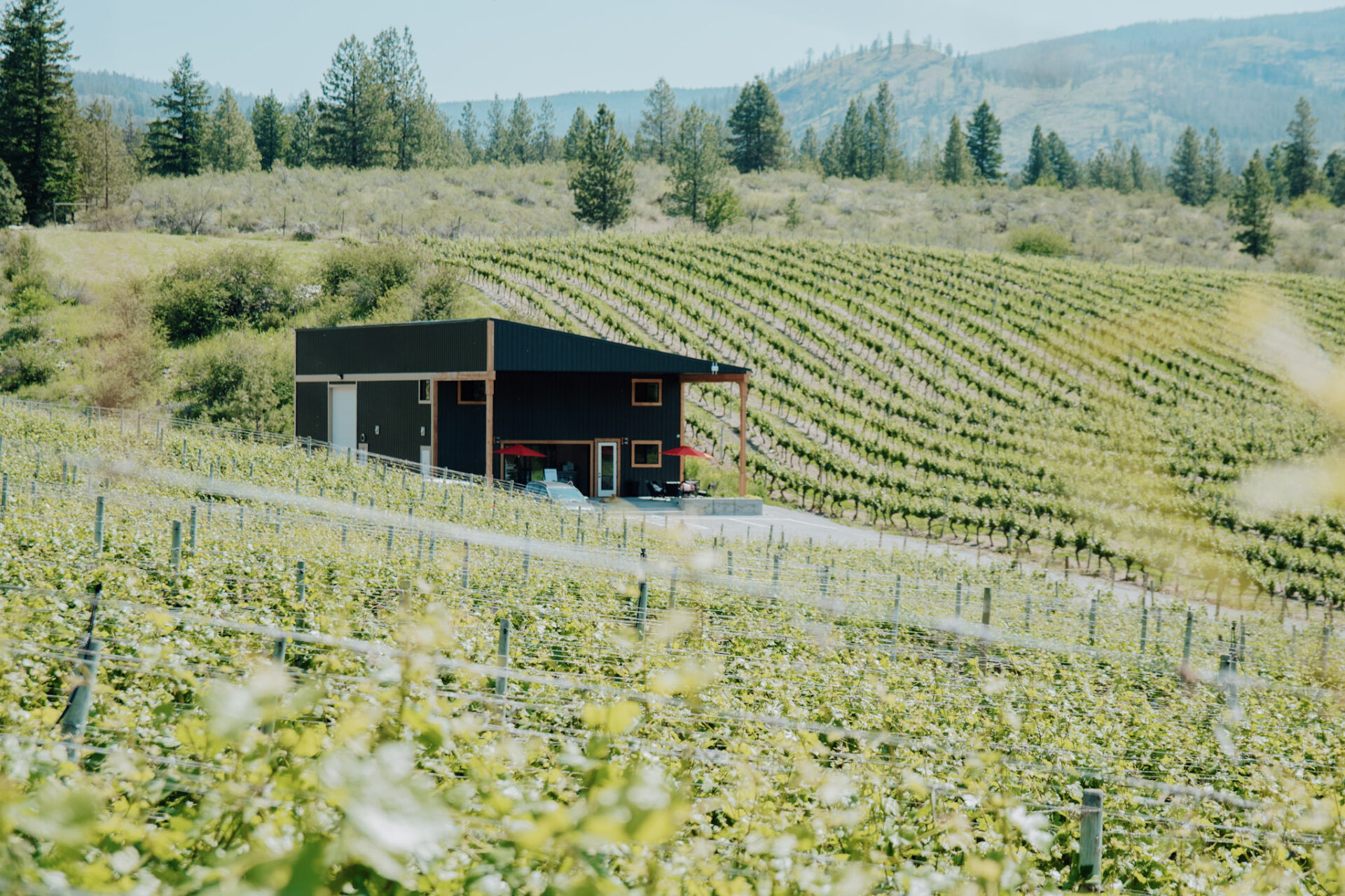 Wineries Visit Penticton