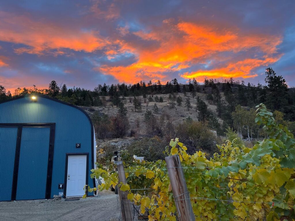 chain reaction winery vineyard sunset views