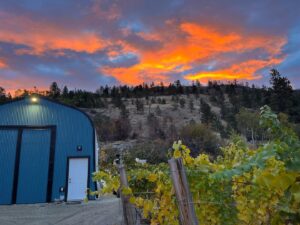 chain reaction winery vineyard sunset views