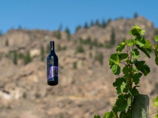red barn winery floating wine
