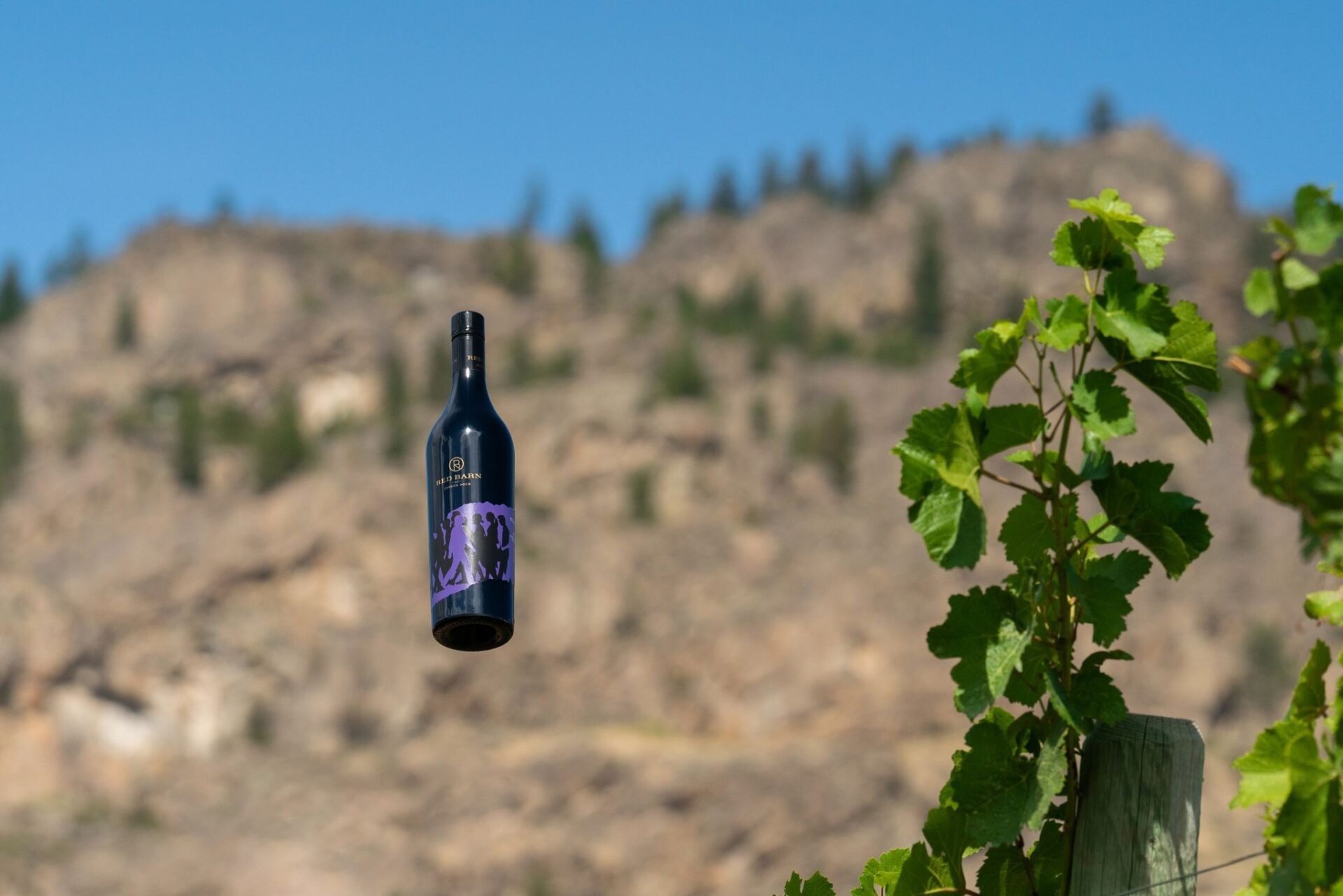 red barn winery floating wine