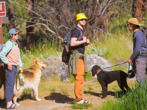 climbers and dogs hiking into the skaha bluffs