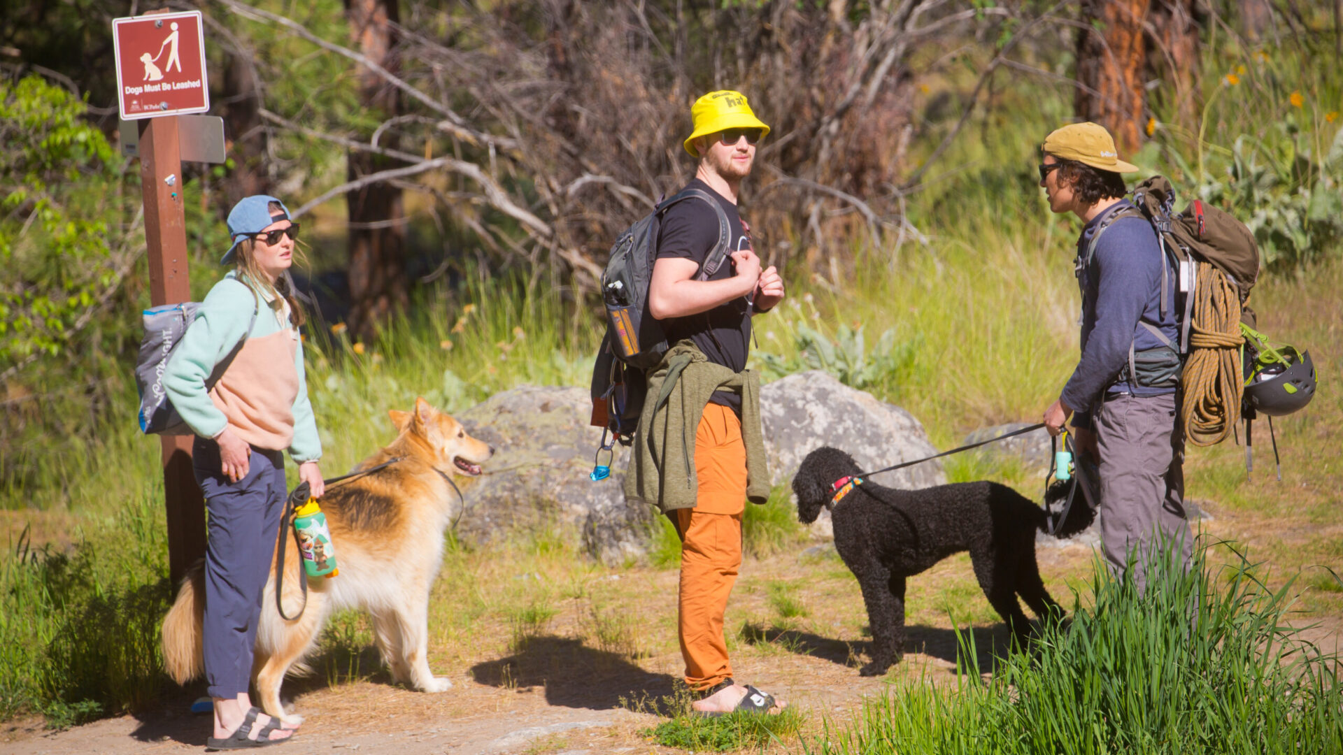 climbers and dogs hiking into the skaha bluffs
