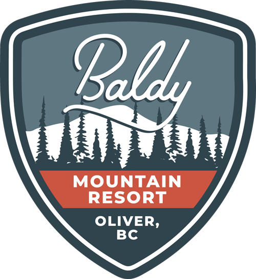 baldy mountain resort logo patch
