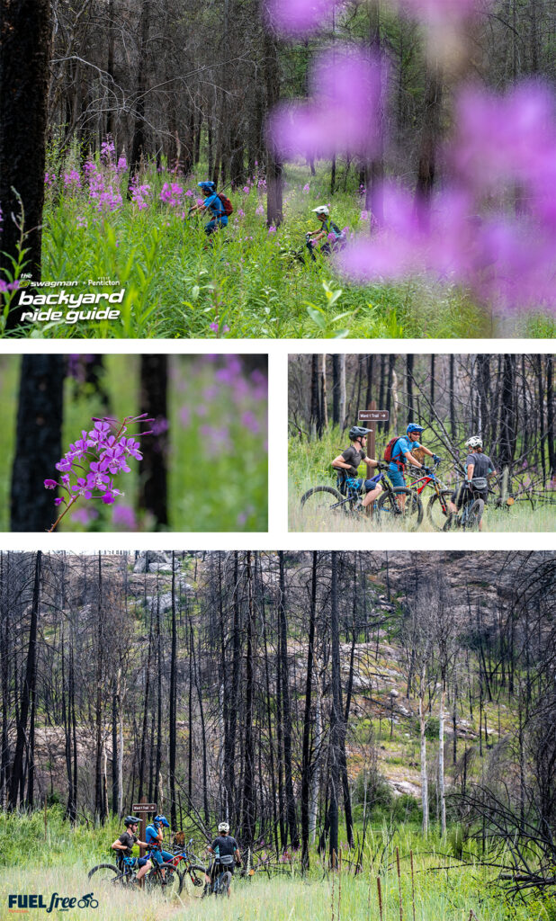 Swagman backyard Ride Guide Skaha Bluffs purple flowers and tall trees