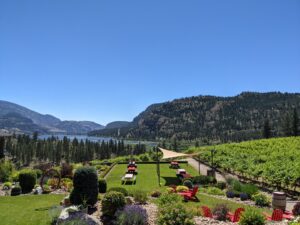noble ridge vineyard and winery views