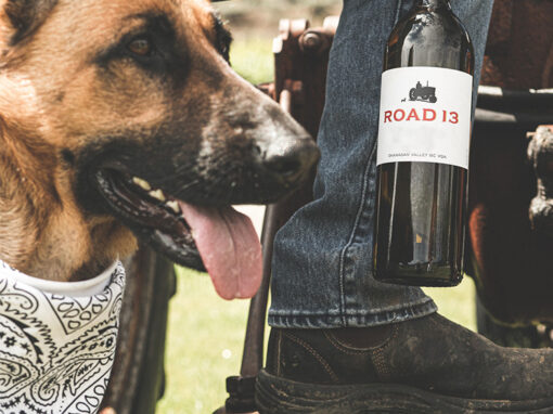 Road 13 Pet Friendly Winery Oliver