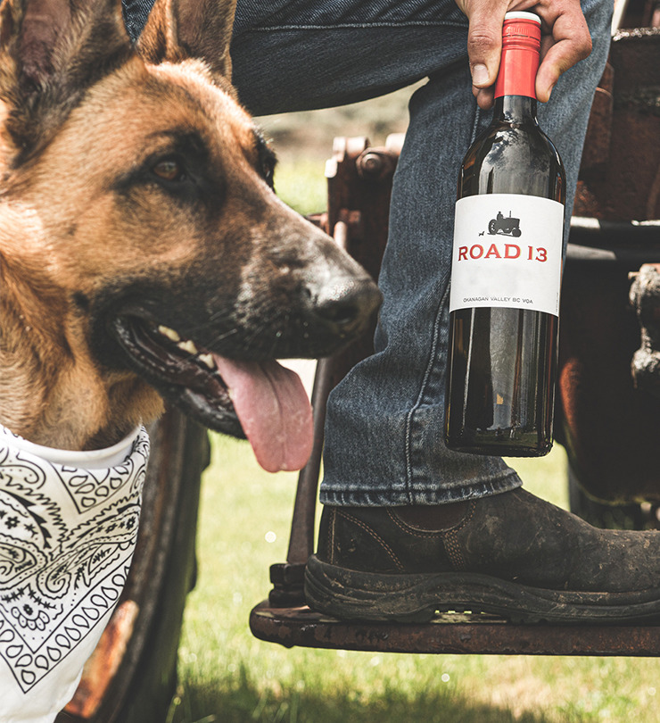 Road 13 Pet Friendly Winery Oliver