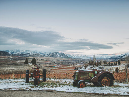 Road 13 Oliver Winery Winter Views