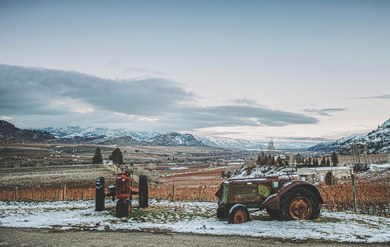 Road 13 Oliver Winery Winter Views