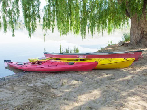 The Lakeside Resort kayaks on beach