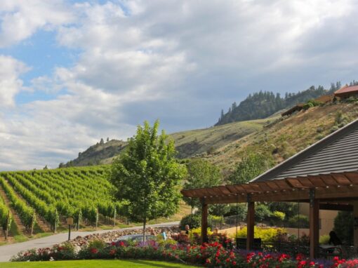 Hester Creek property and vineyard