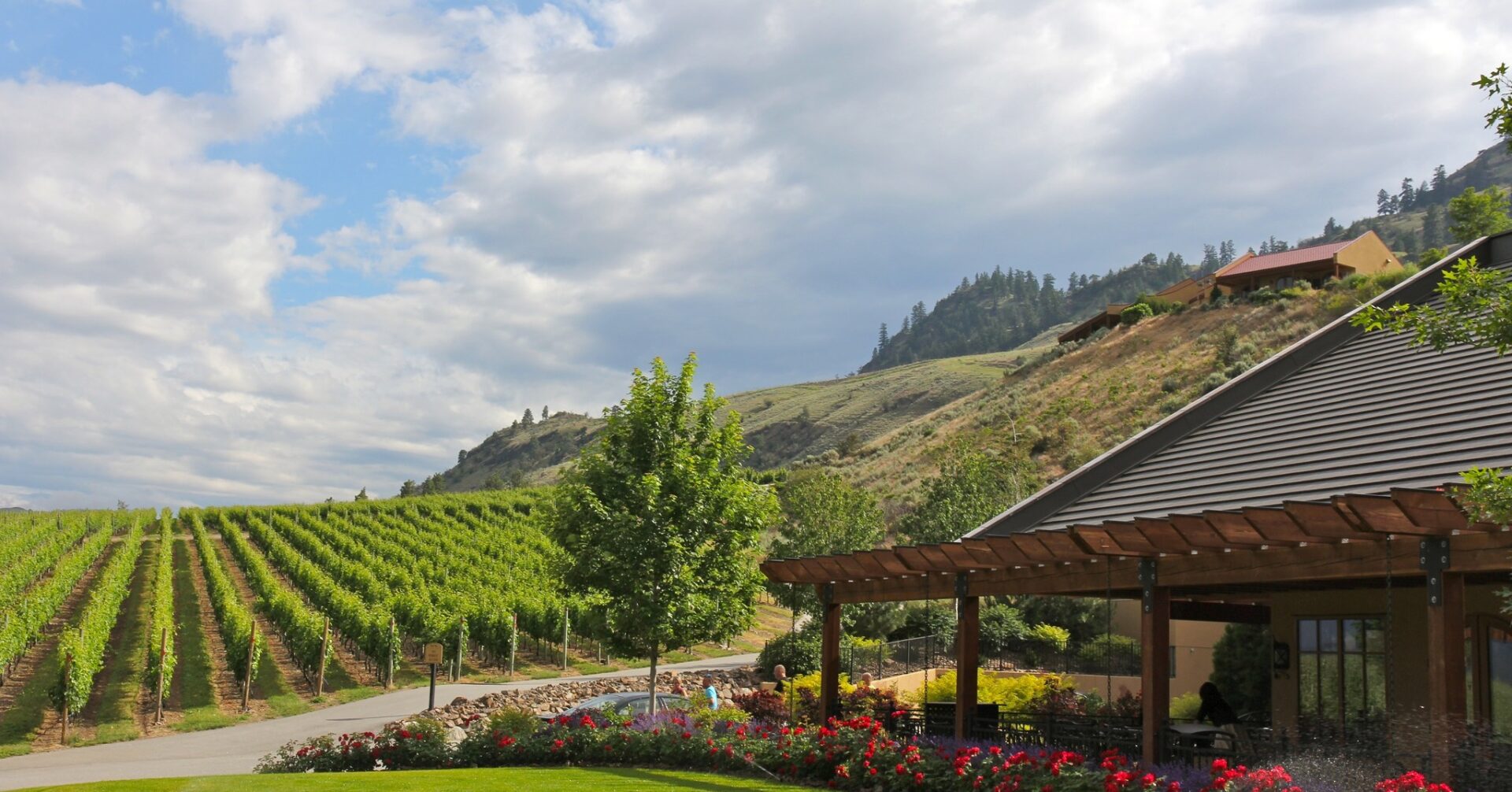 Hester Creek property and vineyard