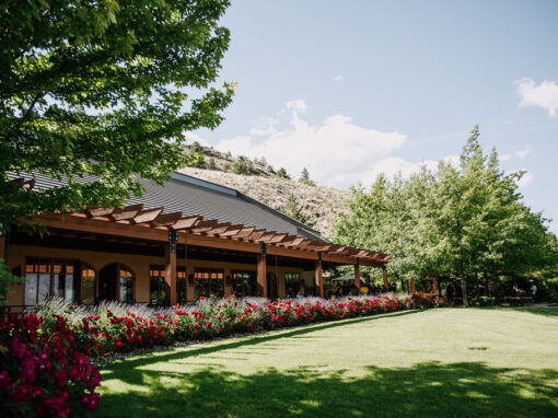 Hester Creek exterior