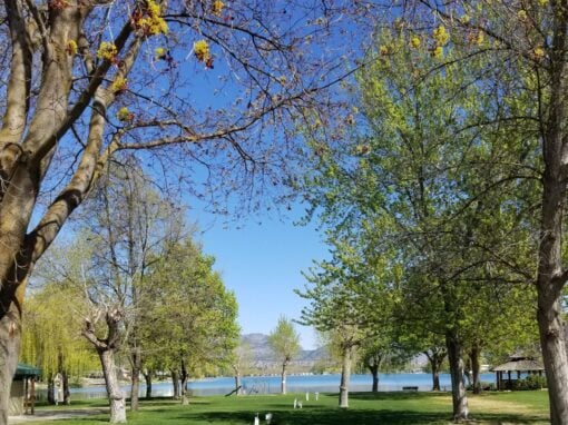 The Lakeside Resort camping basic site on the lake