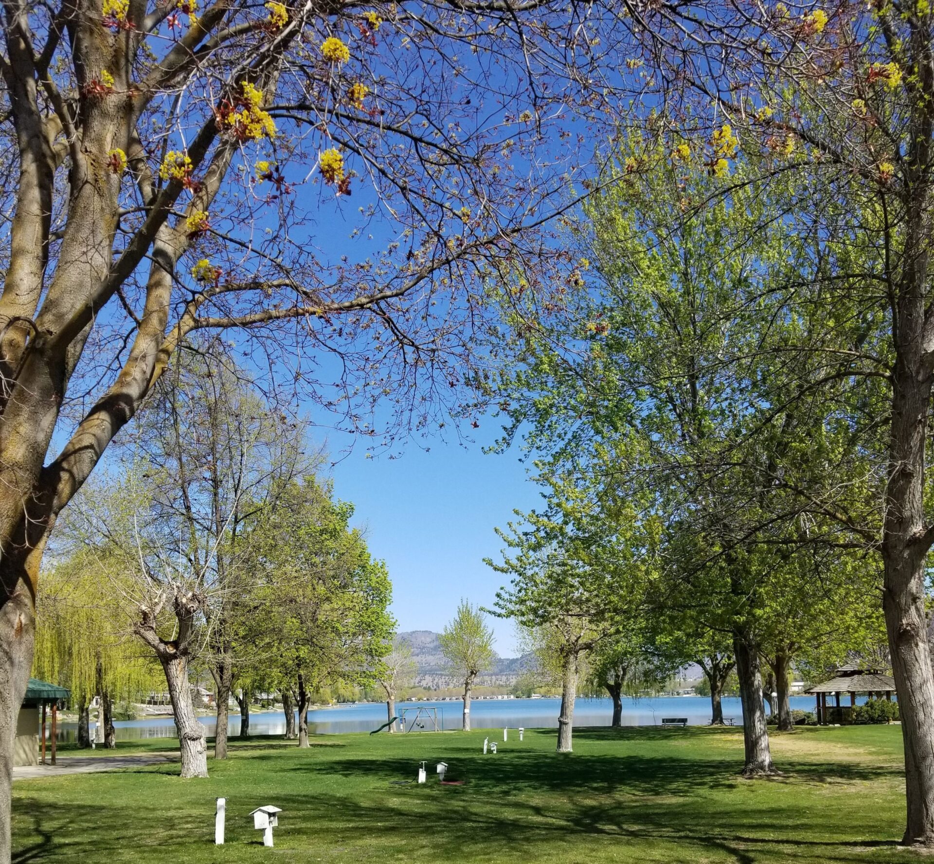 The Lakeside Resort camping basic site on the lake