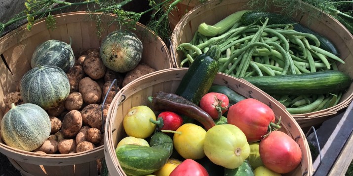 The Grist Mill veggies