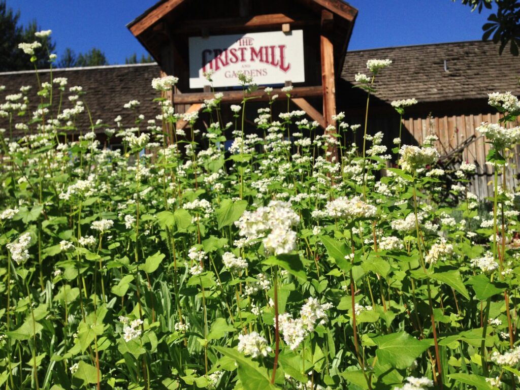 The Grist Mill signage and flowers