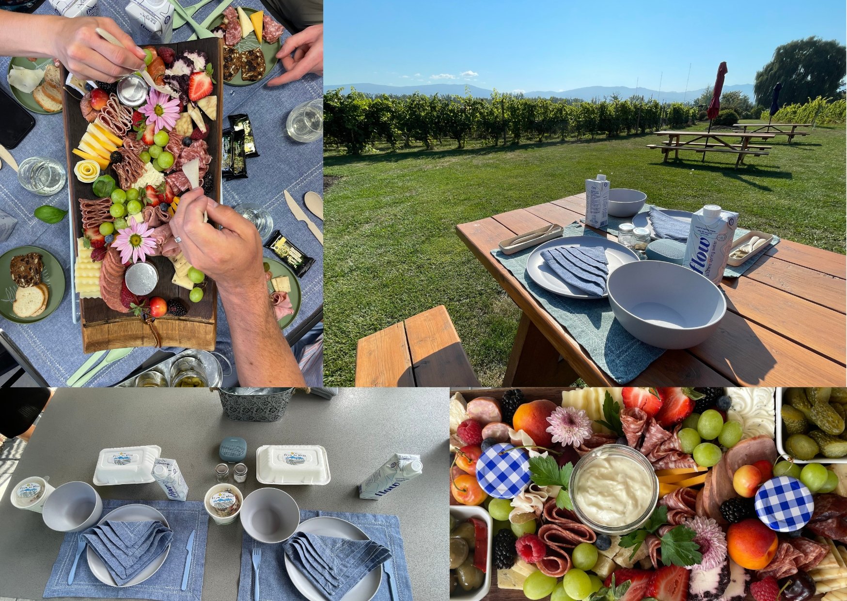 Various Picnic Lunch set ups in a collage style, showcasing lunch is included on all Farm to Glass Wine Tours