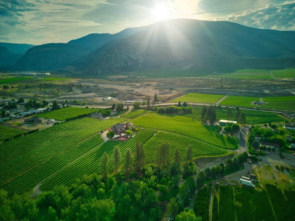 River Stone Estate Winery aerial of vineyards