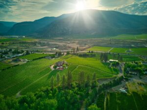 River Stone Estate Winery aerial of vineyards