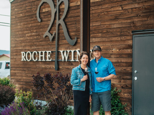 owners of roche wines