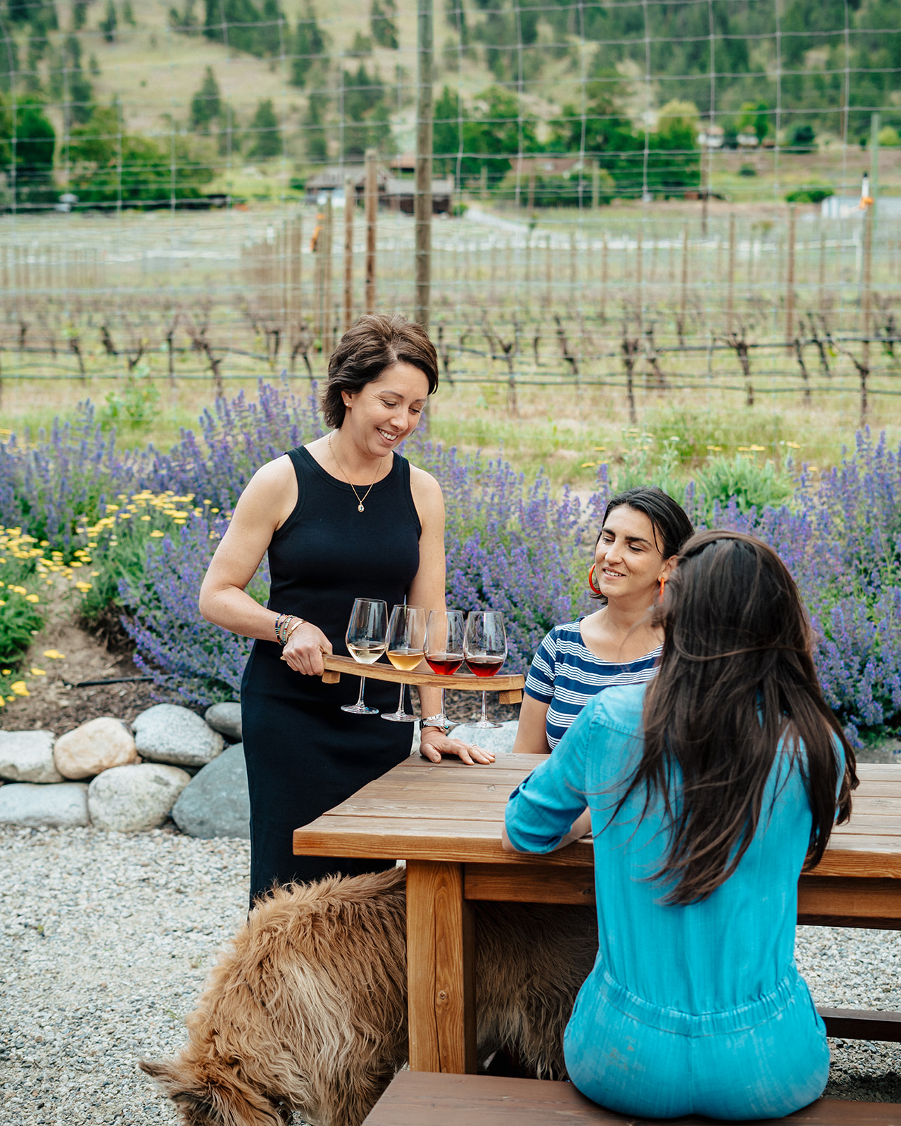 roche wine tasting on patio beside venyards