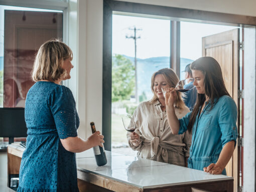 wine tasting at roche wines tasting room