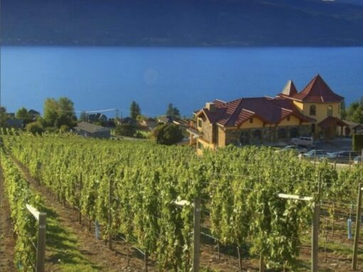 Okanagan Winery