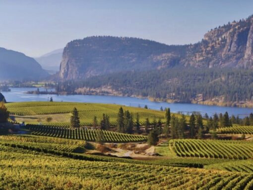Okanagan Winery